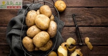 طريقة عمل البطاطس بوصفات مختلفة شهية وأقتصادية